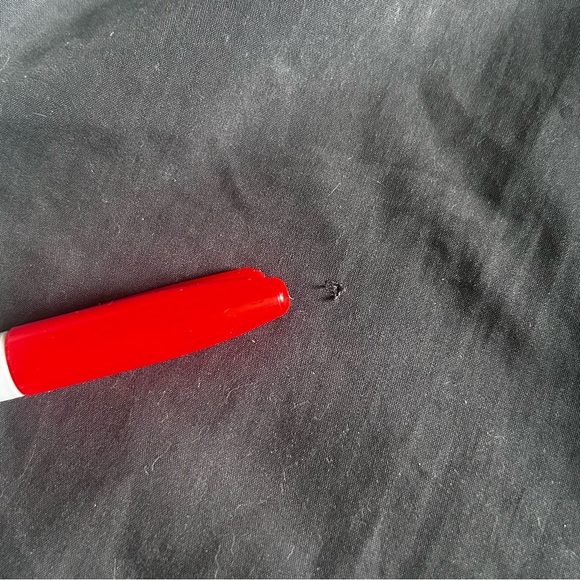 Columbia XCO Women's Hiking Capri Bermuda Short/ Black Size 4 - Picture 2 of 10